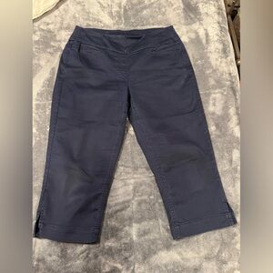 Westbound Deep Blue Trousers